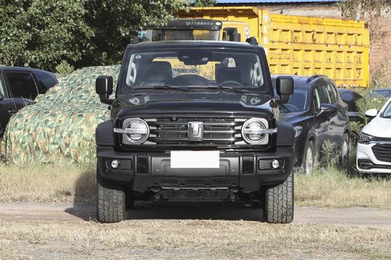  300 Young People Automatic Fuel Powered Car 5 Seats High Speed