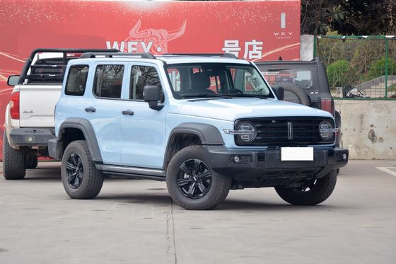Tank 300 Big Suv Fuel Powered Car With Automatic Transmission And 5 Seats